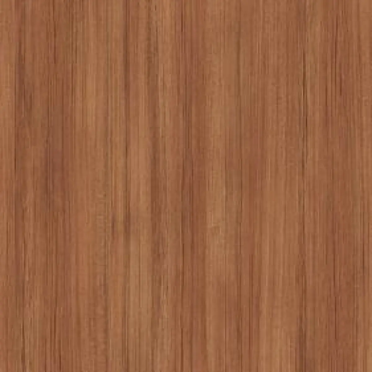 Teak